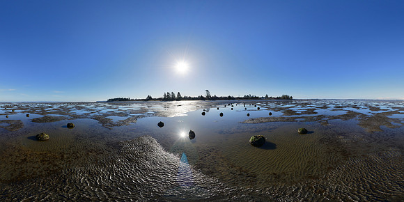 Bottle Beach State Park, Washington State, USA