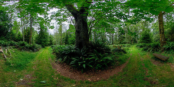 Blake Island Marine State Park, State of Washington, USA