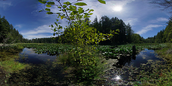 Cama Beach State Park, Washington State, USA