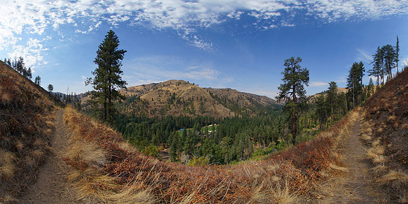 Camp Wooten State Park, Washington State, USA