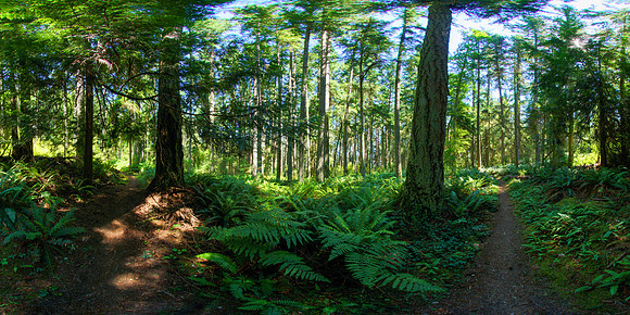 Dugwalla State Park, Washington State, USA