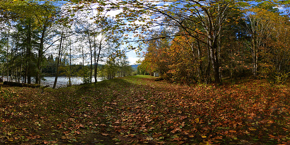 Federation Forest State Park, Washington State, USA