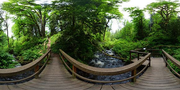 Flaming Geyser State Park, Washington State, USA