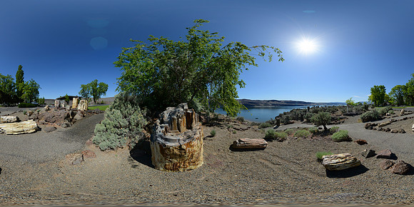 Ginkgo Petrified Forest State Park, Washington State, USA