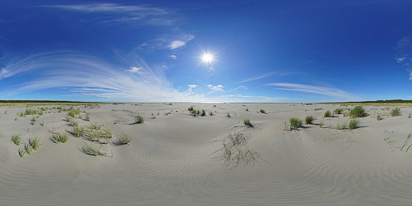 Grayland Beach State Park, Washington State, USA