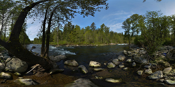 Kanaskat-Palmer State Park, Washington State, USA