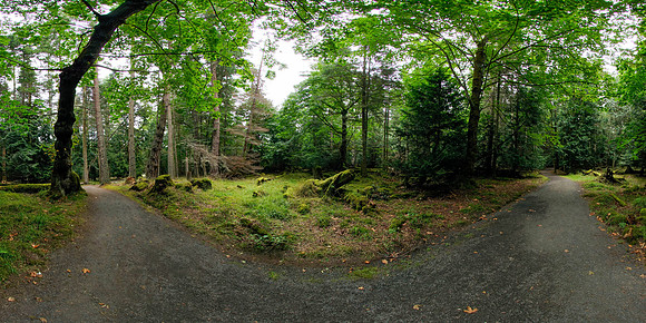 Jones Island Marine State Park, Washington State, USA