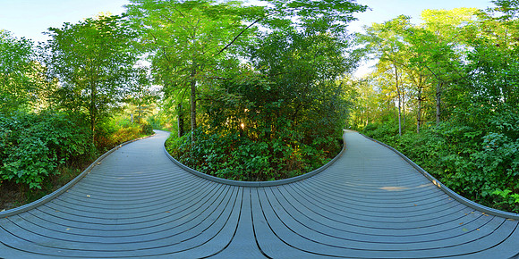 Lake Sammamish State Park, Washington State, USA