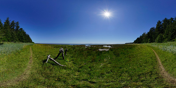 Leadbetter Point