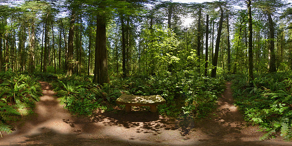 Lewis & Clark State Park, Washington State, USA