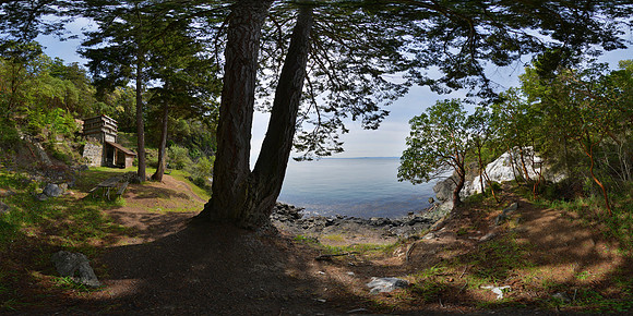 Lime Kiln Point State Park, Washington State, USA