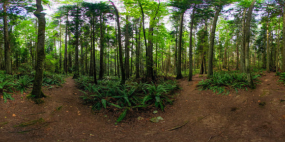 Matia Island State Park, Washington State, USA