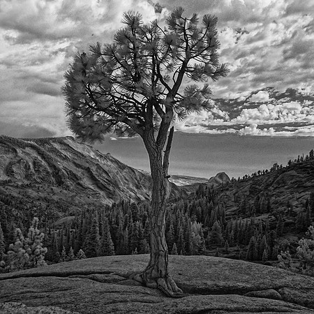 Yosemite National Park, California State, USA