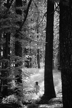 Yosemite National Park, California State, USA