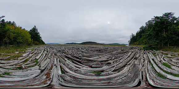 Spencer Spit State Park, Washington State, USA