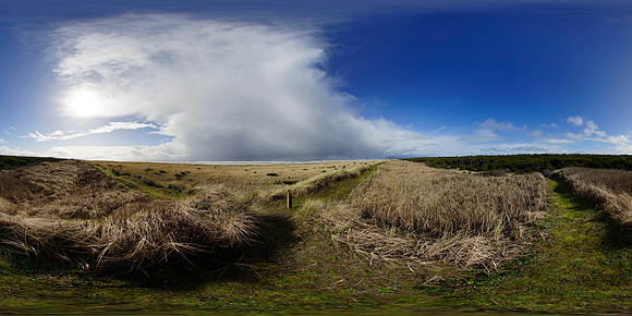 Twin Harbors State Park, Washington State, USA
