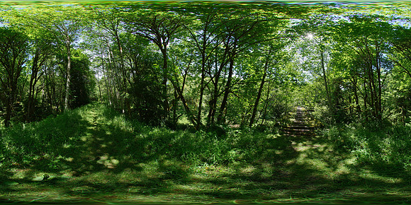 Willapa Hills State Park Trail, Washington State, USA
